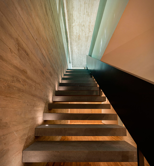 the-rainforest-house-8.jpg