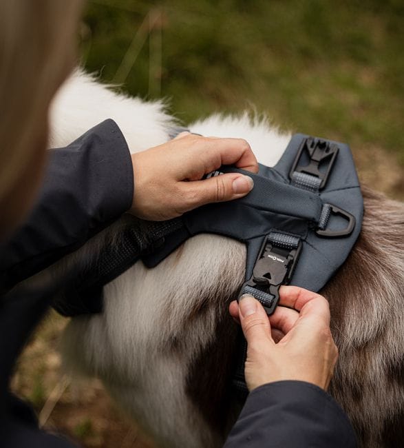 thule-dart-dog-harness-3.jpg | Image