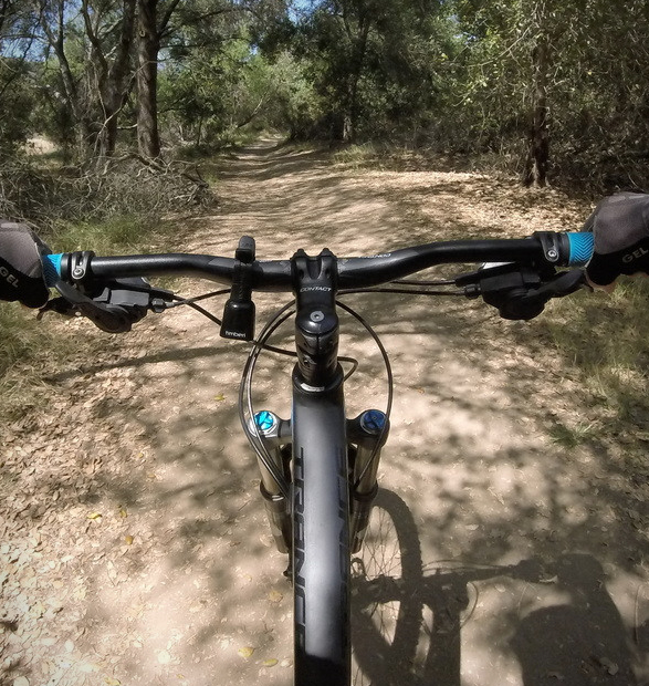 timber-mountain-bike-bell-3.jpg | Image