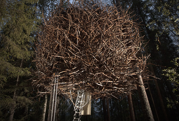 treehotel-14.jpg