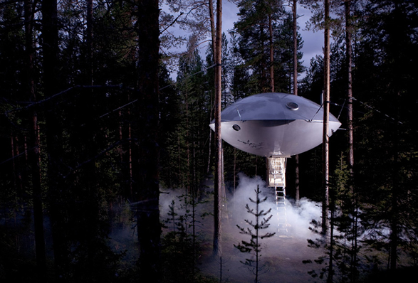 treehotel-17.jpg