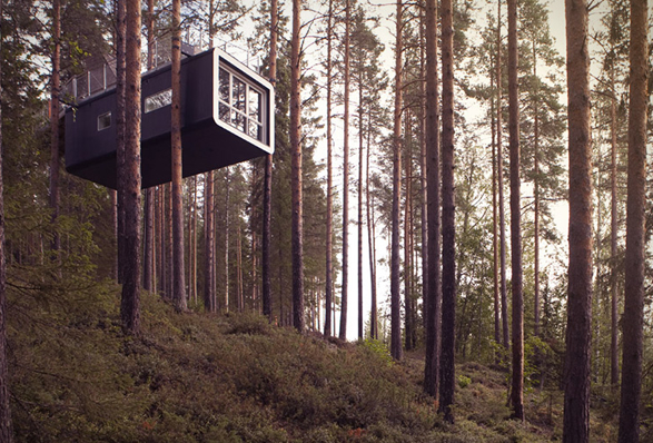 treehotel-2.jpg | Image