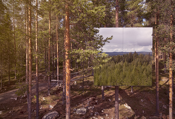 treehotel-7.jpg