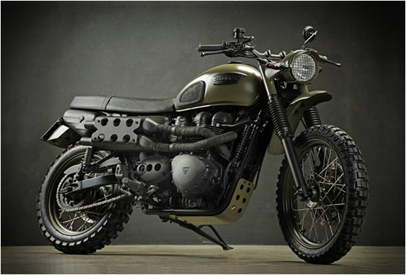 triumph-desert-dino-romano-2.jpg | Image