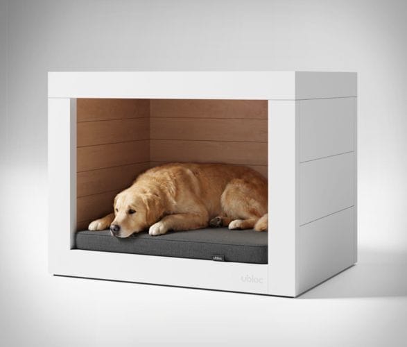 ubloc-dog-shelter-2.jpg | Image