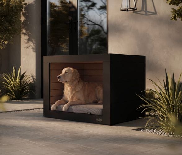 ubloc-dog-shelter-4.jpg | Image