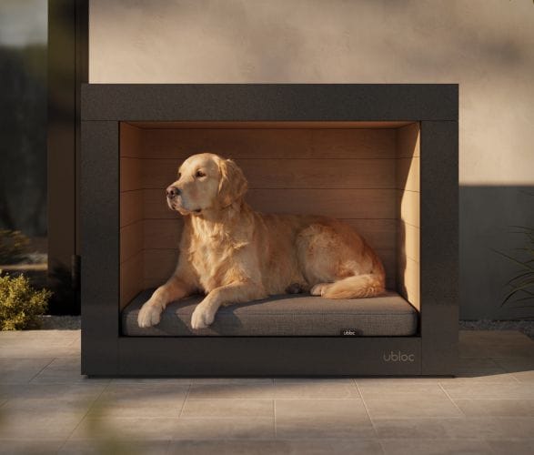 ubloc-dog-shelter-5.jpg | Image