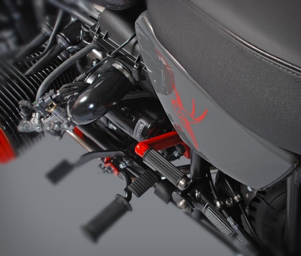 ural-red-sparrow-6.jpg