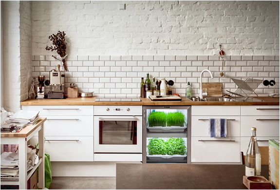 urban-cultivator-2.jpg | Image