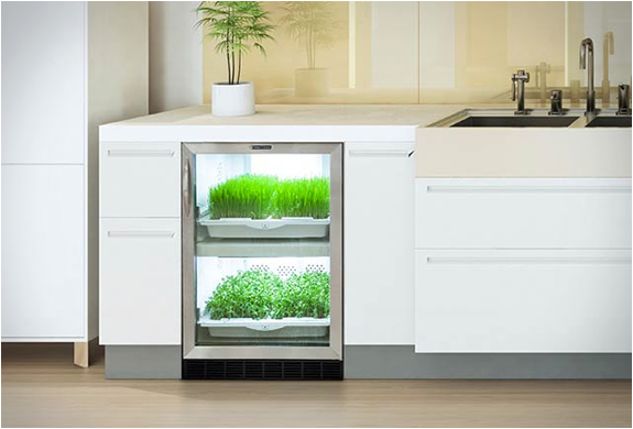urban-cultivator-3.jpg | Image