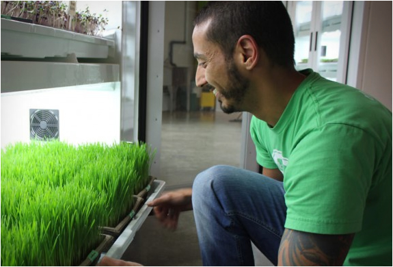 urban-cultivator-5.jpg | Image