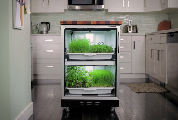 urban-cultivator-6.jpg | Image