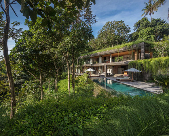 villa-chameleon-2.jpg | Image