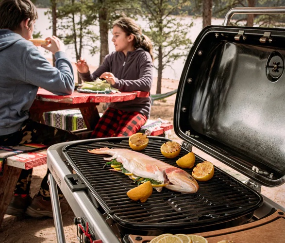 weber-traveler-portable-gas-grill-5.jpg | Image