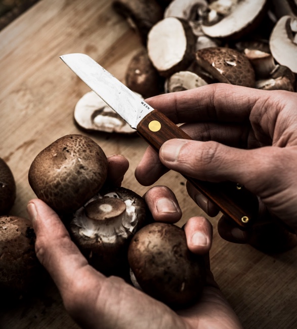 wesn-samla-pocket-knife-8.jpg