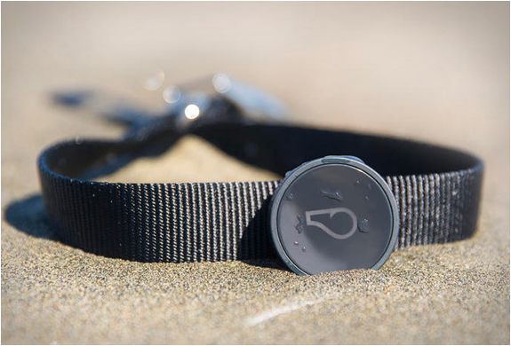 whistle-gps-2.jpg | Image
