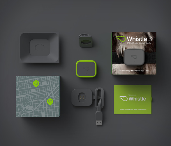 Whistle GPS Pet Tracker