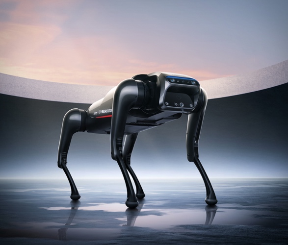 xiaomi-cyberdog-5.jpg | Image