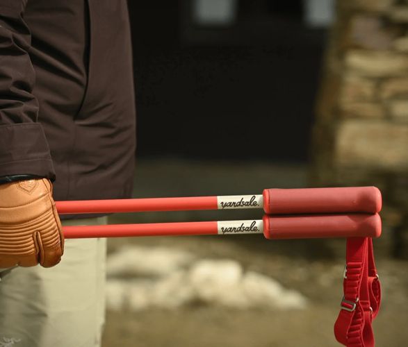 yardsale-magnetic-ski-poles-2.jpg | Image