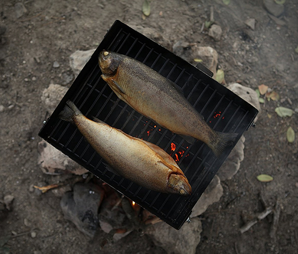 Portable fish smoker shop